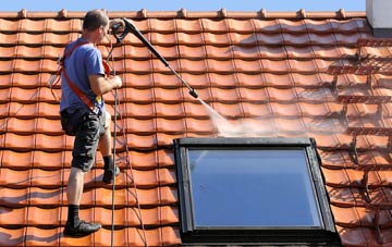 roof cleaning Ludbrook, Devon
