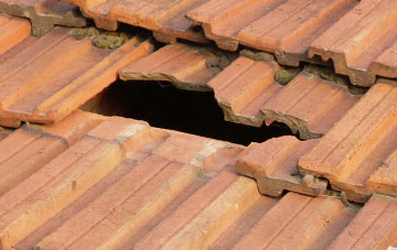 roof repair Ludbrook, Devon